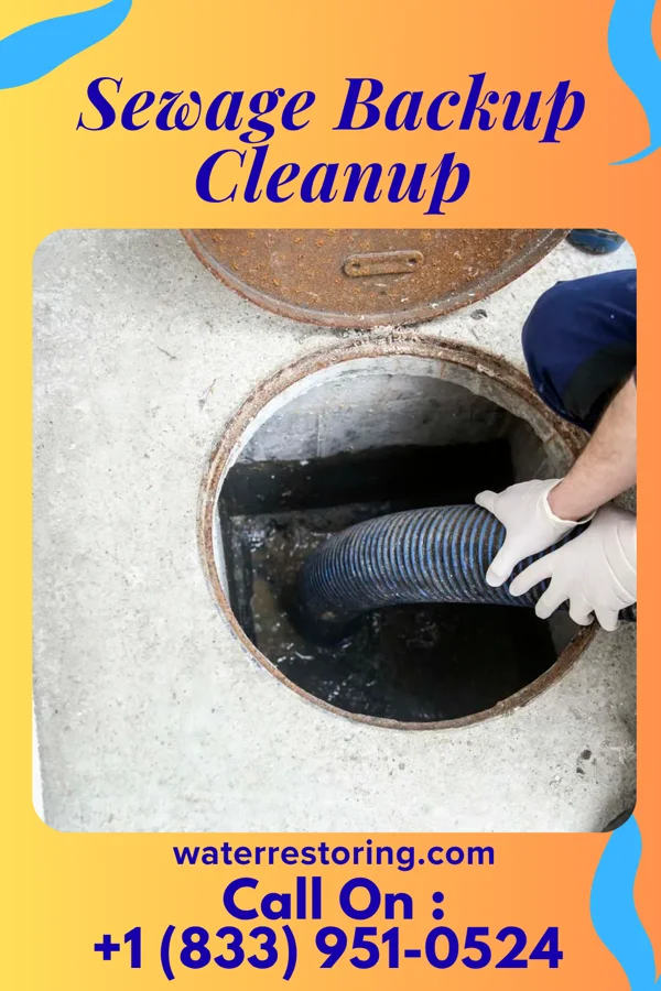 Sewage Backup Cleanup in Longtown, MO